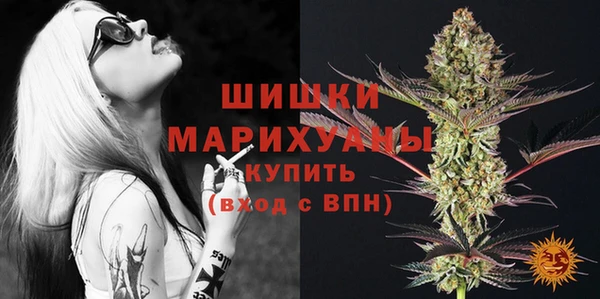 альфа пвп Заводоуковск