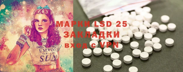 ECSTASY Алзамай
