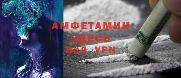 ECSTASY Алзамай
