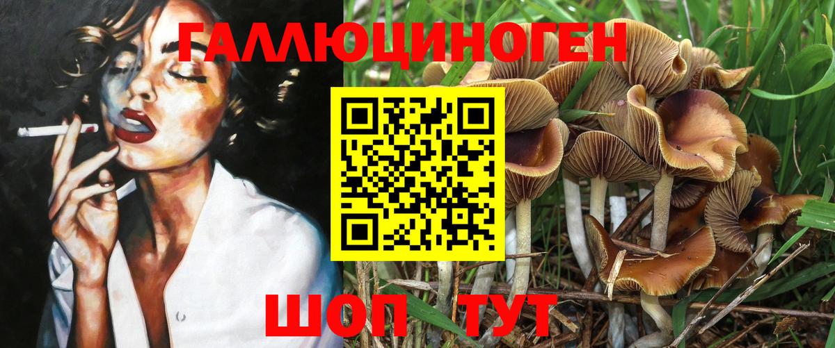 Галлюциногенные грибы Psilocybine cubensis  Псилоцибиновые грибы Cubensis  Вход с VPN  Богданович 
