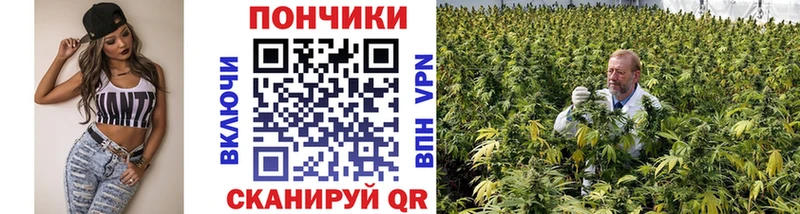 Бошки марихуана марихуана  hydra рабочий сайт  Богданович 