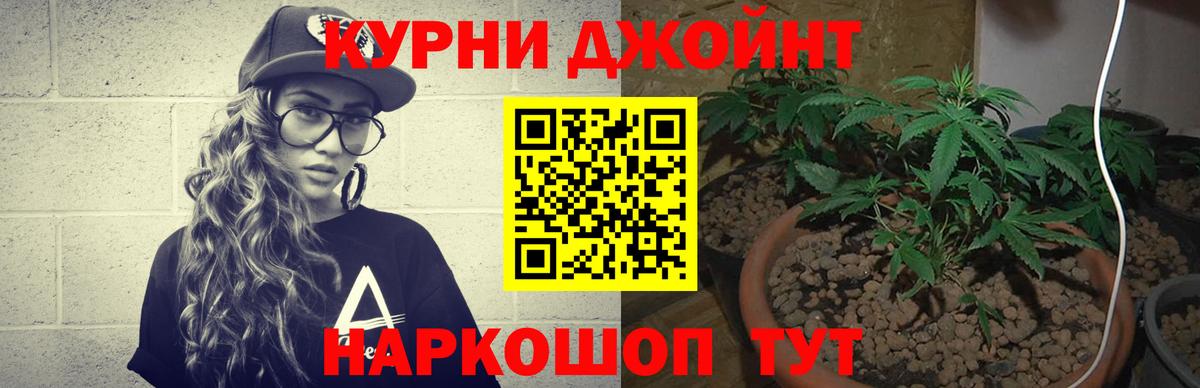 Бошки Шишки MAZAR Богданович